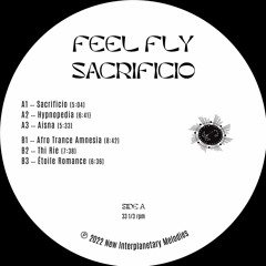 PREMIERE - Feel Fly  - Aisna (New Interplanetary Melodies)