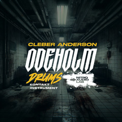 Cleber Anderson - Odeholm Audio Drum Tone Test