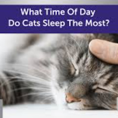 Most of the Day3 (STBB#977)