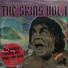 Bap Note Sample Library - THE SKINS VOL.1 DEMO2