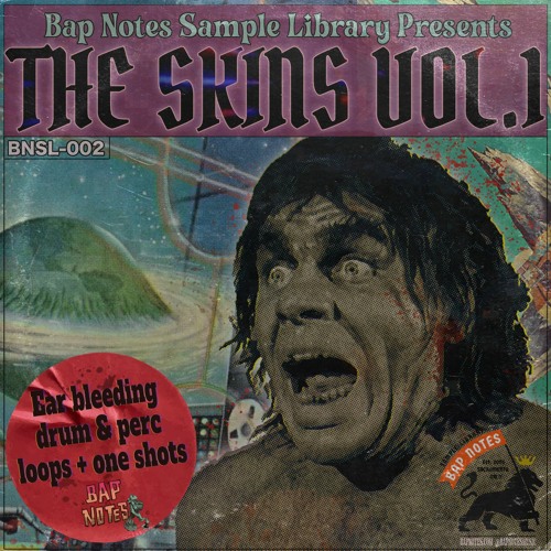 Bap Note Sample Library - THE SKINS VOL.1 - DEMO1