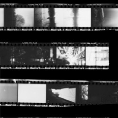 유마경 (維摩經)