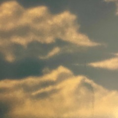 from the rotterdam riviera 1