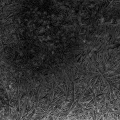 Endless w/ kaustik  280122