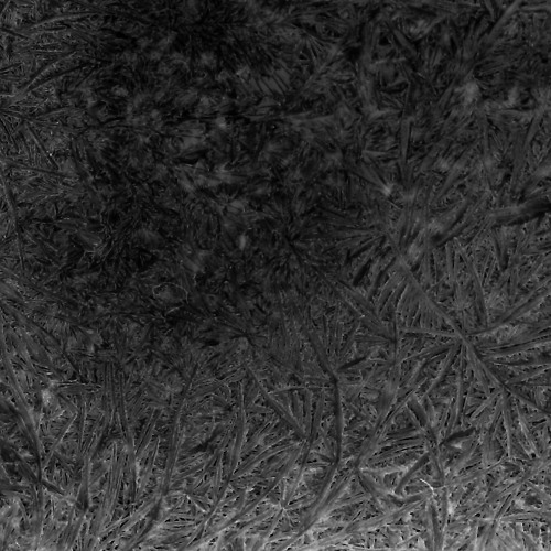 Endless w/ kaustik  280122