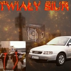 █▬█ █ ▀█▀ VIXA DO UPIERDALANIA AUDI NA LUBELSKIEJ W LUBARTOWIE  Słychać Syreny
