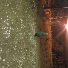 My Bodys Made Of Crushed Little Stars