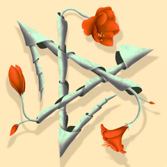 Indefinite Pitch PREMIERES. COLA REN - Lost In Bamboos [Qeone]