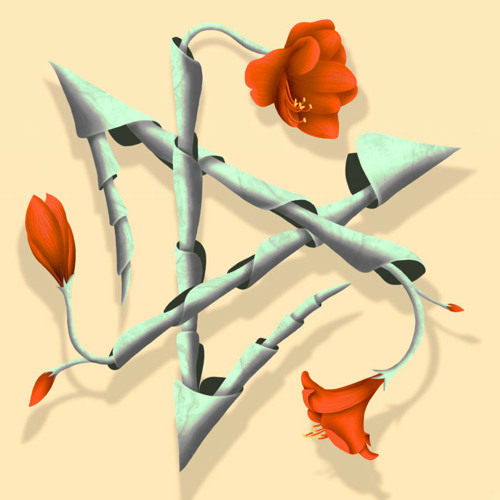 Indefinite Pitch PREMIERES. COLA REN - Lost In Bamboos [Qeone]