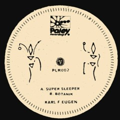 PREMIERE: Karl F Eugen - Super Sleeper [Paley Recordings]