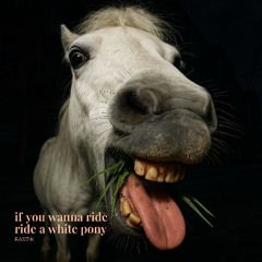 IF YOU WANNA RIDE RIDE A WHITE PONY