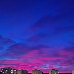 $$ Foreall $$měl $$křídla $$