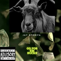 Go For The Bucks