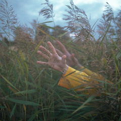 Anegonia (Echoes of the Forgotten Self)