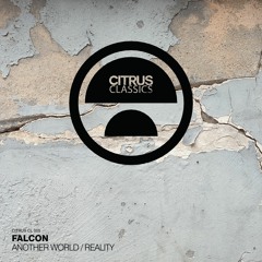 CITRUSCL005 // Falcon - Another World / Reality