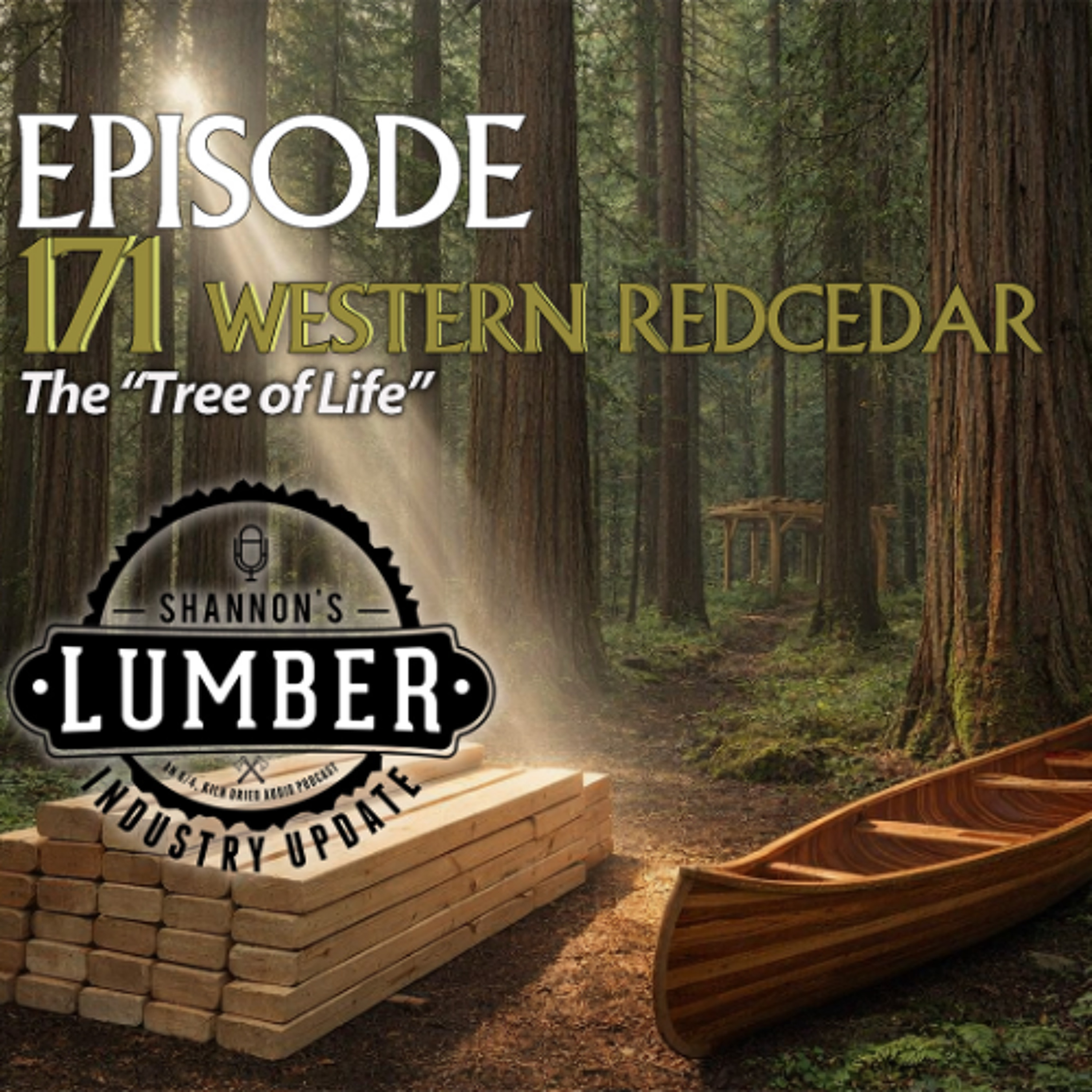 171 Western Redcedar