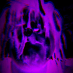 MK AVON - Silence [p. SantanaStars]