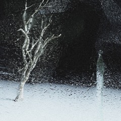 𝑷𝒓𝒆𝒎𝒊𝒆𝒓𝒆: Zambezi Moon - Tracer