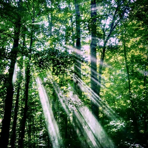 Dream of Life [Prod. Joey $now]