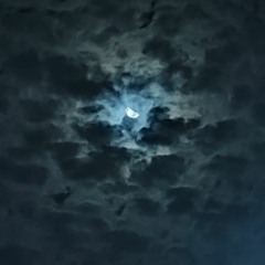 In The Zone (Prod slyfoxshelby)