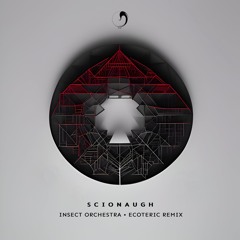 scionaugh - insect orchestra (ecoteric remix) / dense nebula records