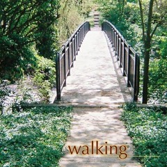 READ [PDF] Walking the Steps Of Cincinnati: A Guide to the Queen City’s Scenic a