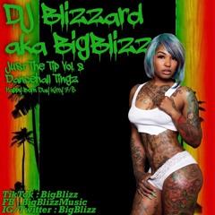 Just The Tip Vol. 8 Dancehall Tingz