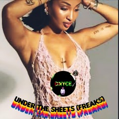 Under The Sheets (freaks) Reggae Mix