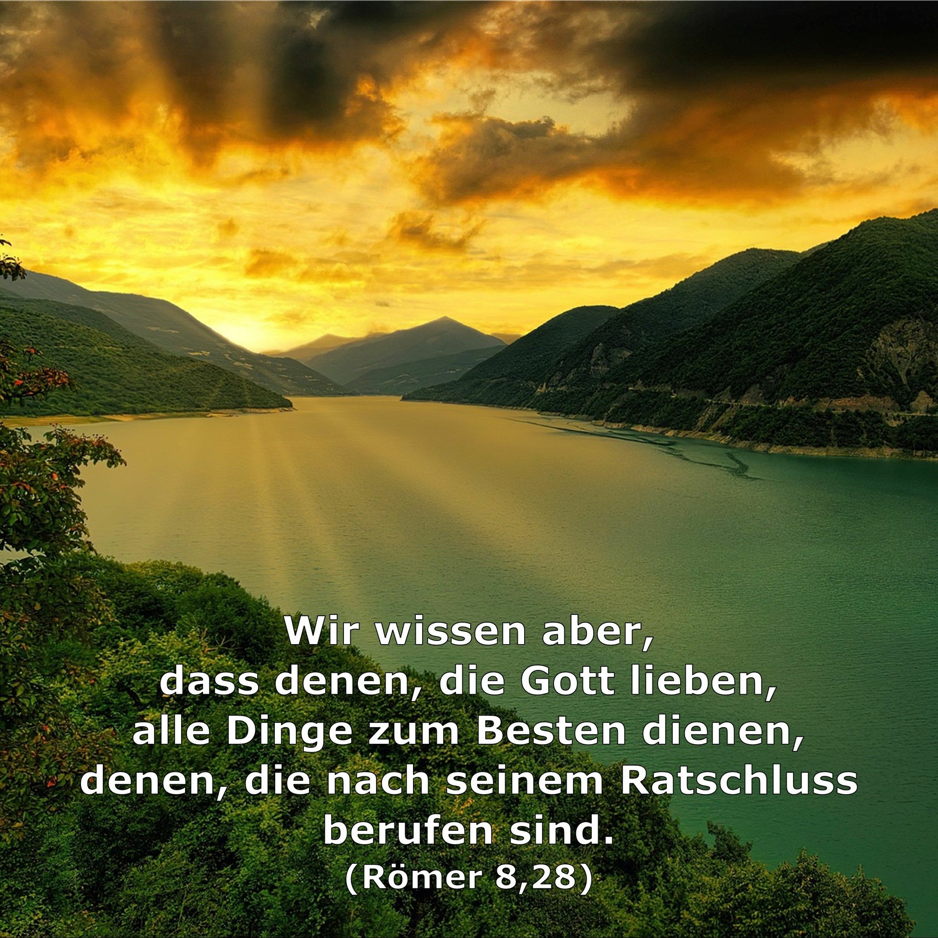 In einem Jahr durch die Bibel