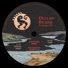 [PREMIERE] Floresta - Declan Ruadh | Swivel Records [2023]