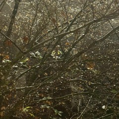 Lied 5 - 30.11.25, 19.10.wav