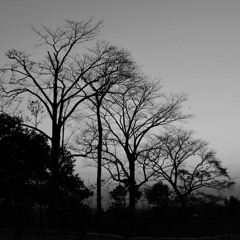 Không Nên Tin Vào Tình Yêu - 不该用情 [Guitar]