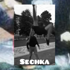08325 - sechka