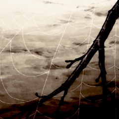 Shade feat. B-Grilly