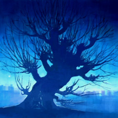 $oul $cammer - Drôle de vision