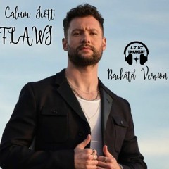 Calum Scott - Flaws (LucaJdeejay Bachata Version)