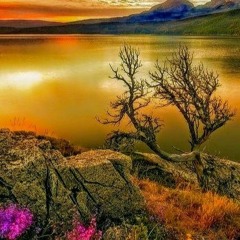 قراءات مختلفة- سورة الإسراء، المنشاوي