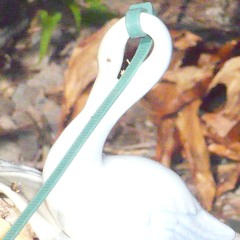 When No one can hear me calling