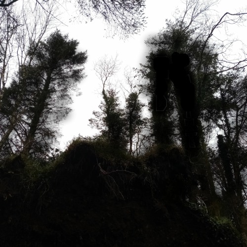 Terrain