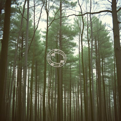 Ecos da Serra Dourada - Projeto Naves