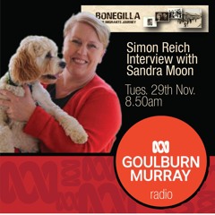 ABC Interview Sandra Moon 29 11 23