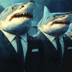 Shark a bih