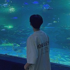 Lối Đi Cho Nhau x NLTQ - NSon x Danhh Mix