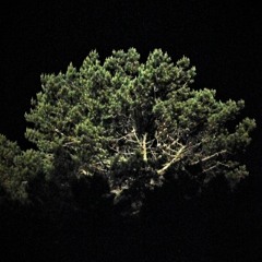 Spooky Vibes (Boom Bap Style Beat) [Free Download]