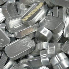 Episódio 160 ter lata