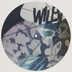 Wiley - Wot Do U Call It? (buhu ukg bootleg)