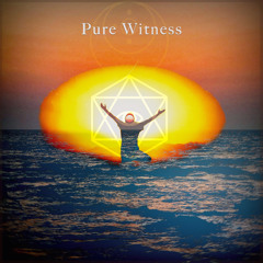 Pure Witness (ft. Osho)