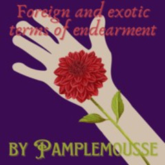 Foreign and exotic terms of endearment