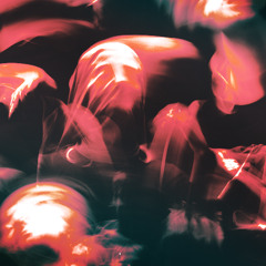 4. Brightness outa Darkness