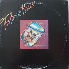 The Bees Knees Remix Prod By Hit-Boy & No ID